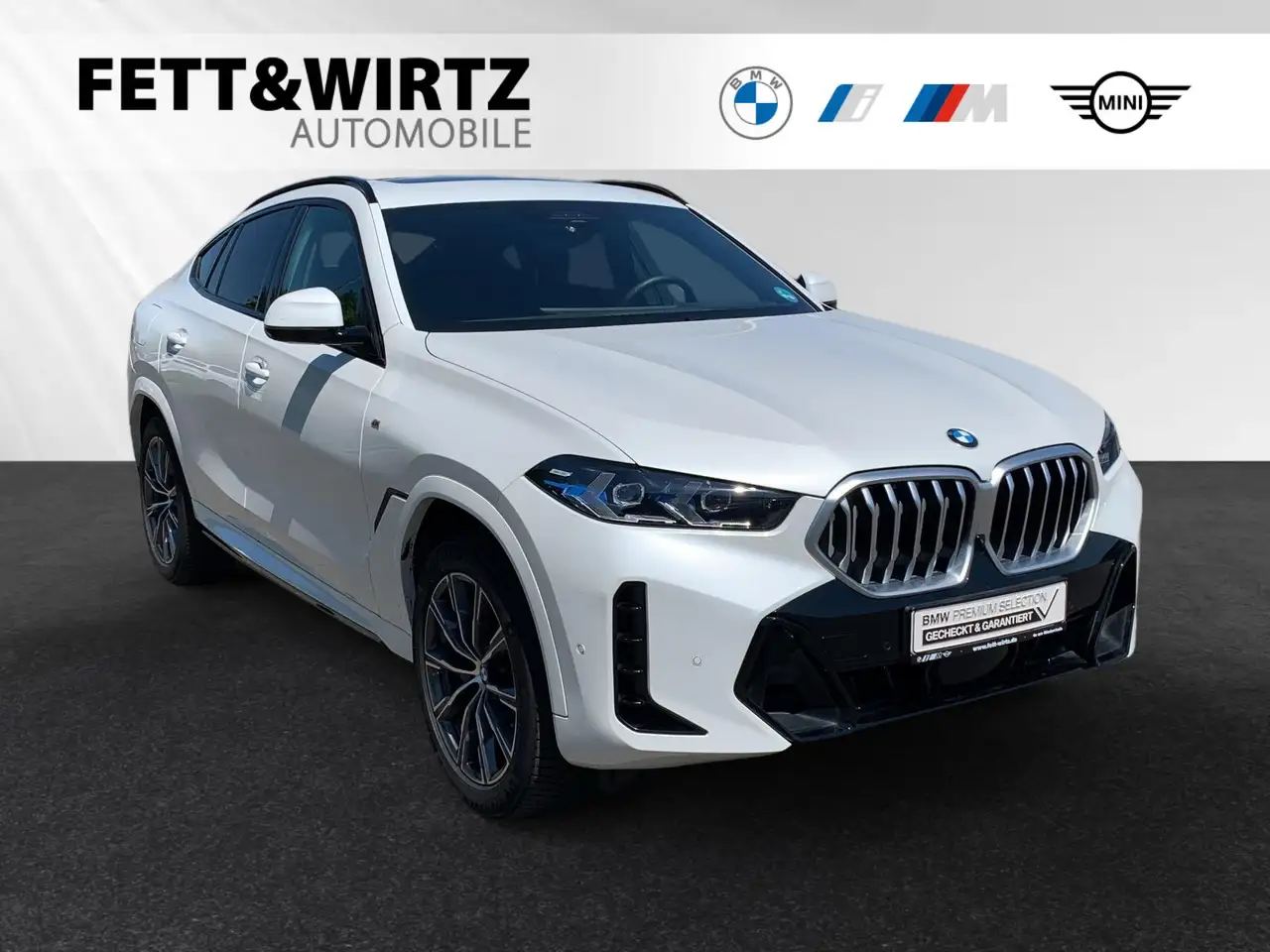 BMW X6