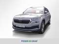 Skoda Kodiaq 2.0 TDI Grau - thumbnail 1