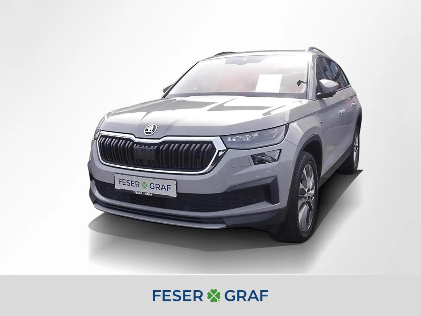 Skoda Kodiaq 2.0 TDI Grau - 1