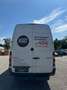 Mercedes-Benz Sprinter 313 CDI Kasten Blanco - thumbnail 12