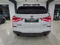 BMW X3 X3 G01 2020 xdrive20d Msport 190cv auto (Tetto) Blanc - thumbnail 6