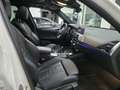 BMW X3 X3 G01 2020 xdrive20d Msport 190cv auto (Tetto) Blanc - thumbnail 14