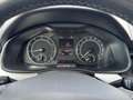Skoda Kamiq 1.0 g-tec Ambition 90cv Blanc - thumbnail 10