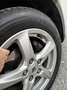 Ford Focus 1,0 - Erstbesitz, jährliche Service bei Ford. Schwarz - thumbnail 10