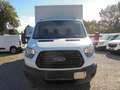 Ford Transit 350 Koffer L4 2.0 EcoBlue + Ladebordwand Blanc - thumbnail 2