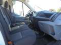 Ford Transit 350 Koffer L4 2.0 EcoBlue + Ladebordwand Blanc - thumbnail 13