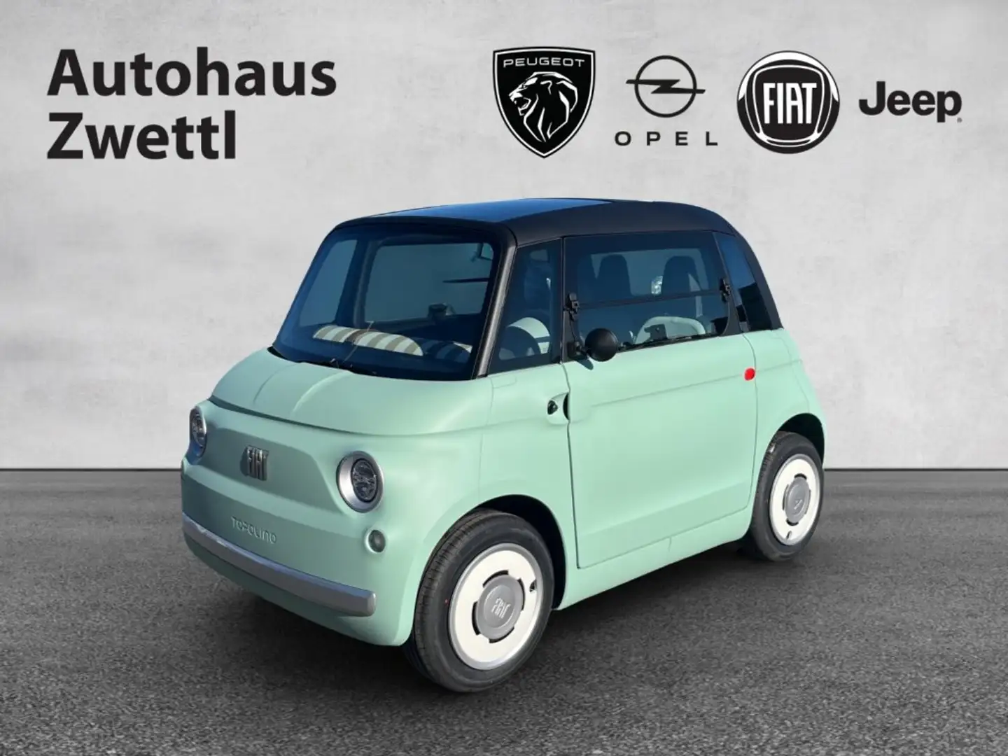 Fiat Topolino Elektro Grün - 1