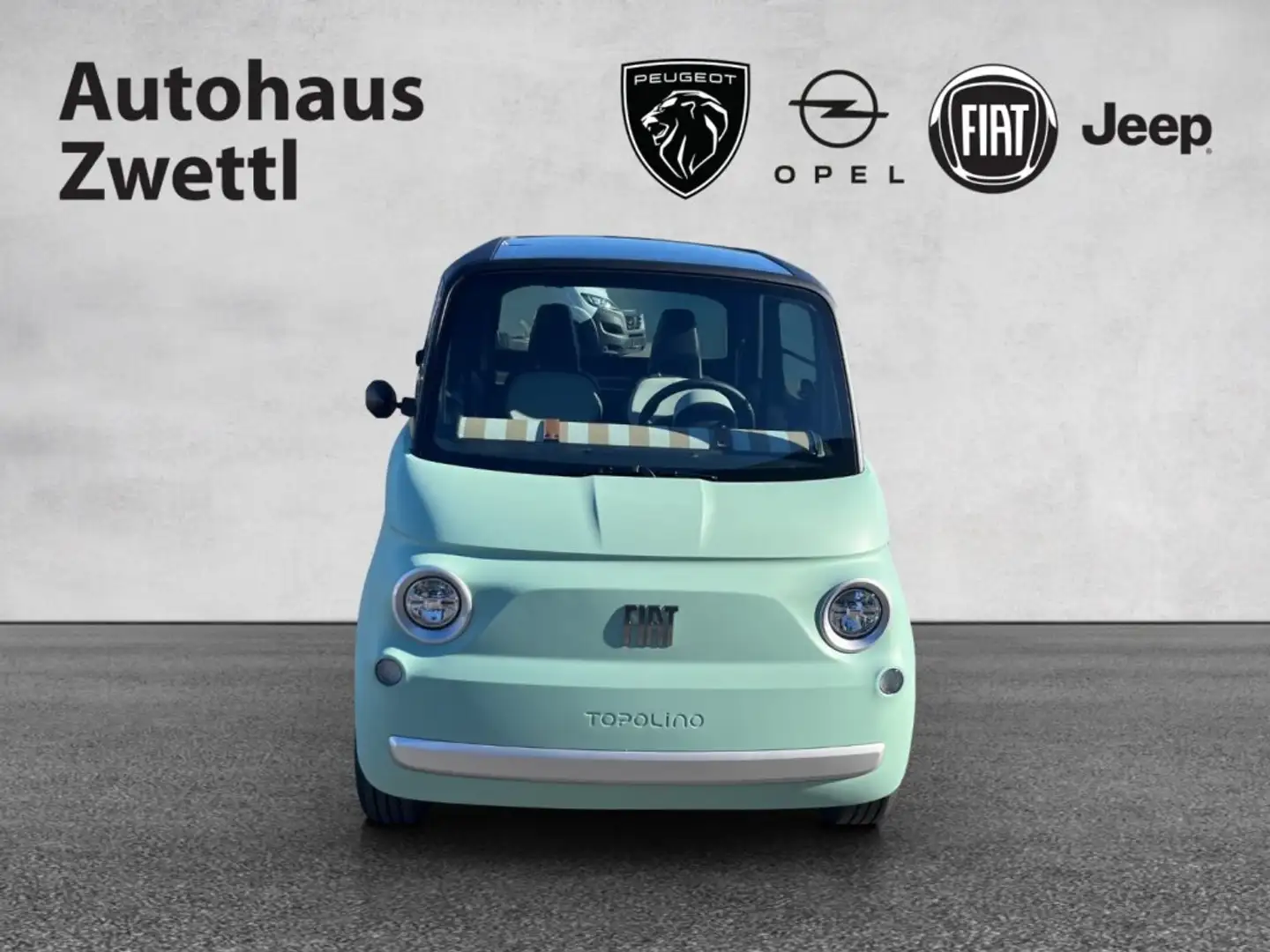 Fiat Topolino Elektro Зелений - 2