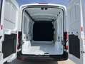 Ford Transit 2.0 TDCi EcoBlue 130CV Furgone PM-TM 310 Trend Bianco - thumbnail 14