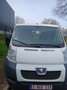 Peugeot Sonstige - thumbnail 6