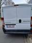 Peugeot Sonstige - thumbnail 4