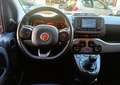 Fiat Panda panda hybrid cilindrata 1000   5 posti Grigio - thumbnail 12