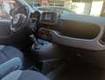 Fiat Panda panda hybrid cilindrata 1000   5 posti Grigio - thumbnail 13