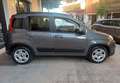 Fiat Panda panda hybrid cilindrata 1000   5 posti Grigio - thumbnail 3