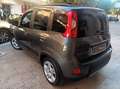 Fiat Panda panda hybrid cilindrata 1000   5 posti Grigio - thumbnail 4