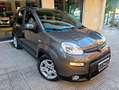 Fiat Panda panda hybrid cilindrata 1000   5 posti Grigio - thumbnail 8