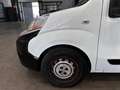 Fiat Fiorino 1.3MJET 80CV CARGO Blanco - thumbnail 18