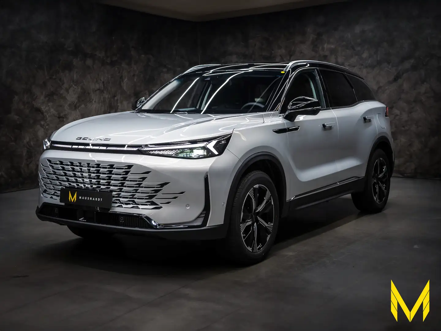 BAIC Beijing X75 inkl. Vollaus.+Konservierung+3JGarantie Argintiu - 1