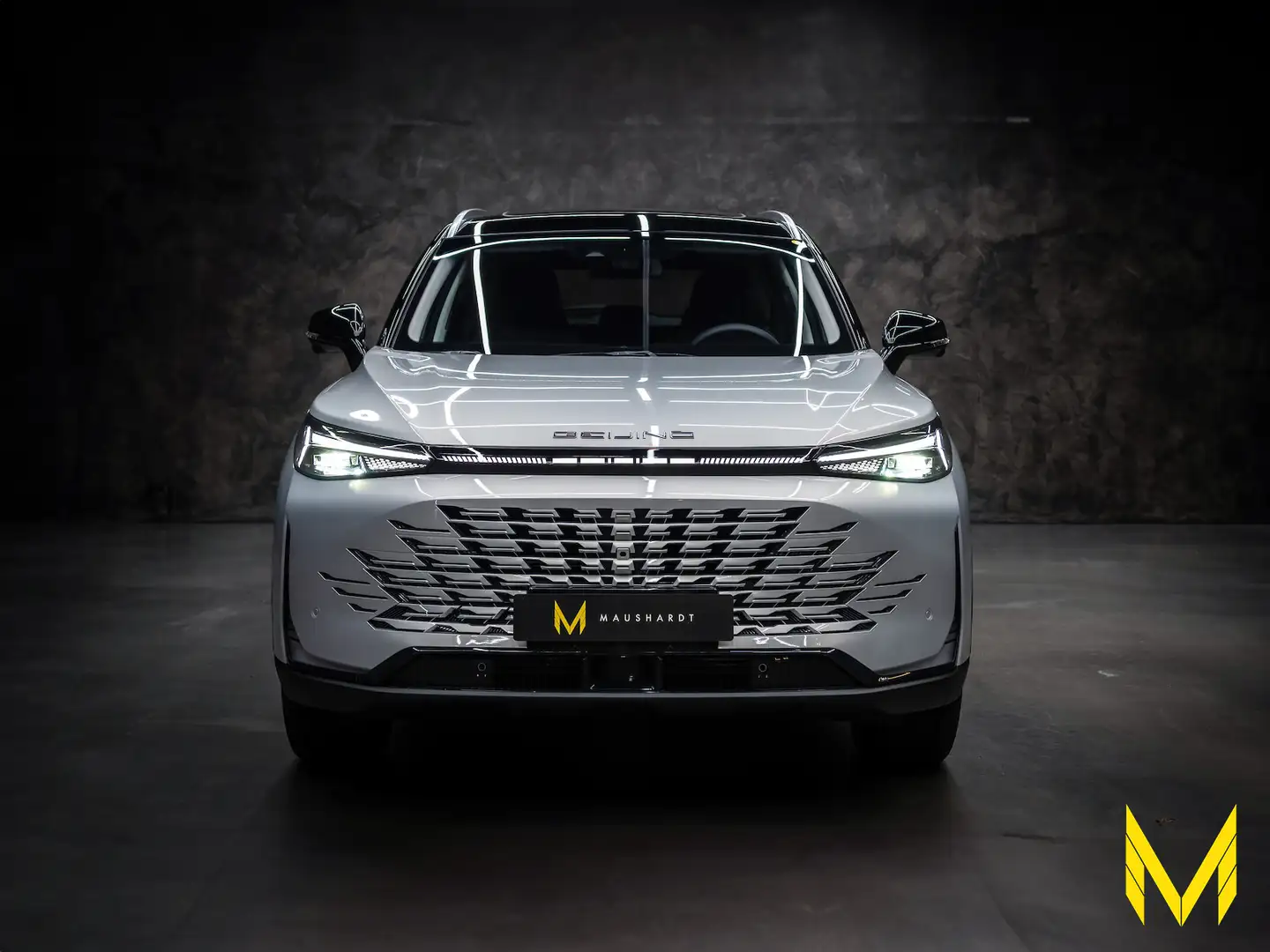 BAIC Beijing X75 inkl. Vollaus.+Konservierung+3JGarantie Argintiu - 2