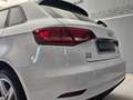 Audi A3 III Sportback 1.6 tdi 110cv Bianco - thumbnail 12