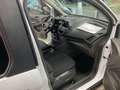 Ford Grand Tourneo Connect Trend Weiß - thumbnail 14