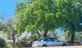 Volkswagen Passat 1.9 tdi Highline 130cv - thumbnail 9