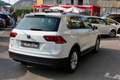 Volkswagen Tiguan Tiguan 2.0 TDI SCR DSG Business Blanco - thumbnail 4