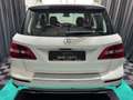 Mercedes-Benz ML 250 ML ML 250 CDI BlueTec LED/SHZ/AHK/21-ZOLL Blanc - thumbnail 7