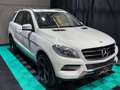 Mercedes-Benz ML 250 ML ML 250 CDI BlueTec LED/SHZ/AHK/21-ZOLL Blanc - thumbnail 5