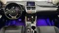 Lexus NX 300h 300h 2WD E-CVT Grigio - thumbnail 9