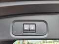 Nissan Qashqai 1.3 MHEV Business Premium/ Panodak / Carplay & And Noir - thumbnail 8