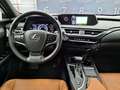 Lexus UX 250h Hybrid Premium Grau - thumbnail 10