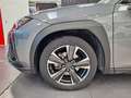 Lexus UX 250h Hybrid Premium Gris - thumbnail 16