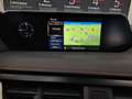 Lexus UX 250h Hybrid Premium Grau - thumbnail 12