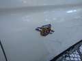 Abarth 500 500/595 1.4 16v turbo t-jet 135cv Alb - thumbnail 5