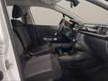 Citroen C3 PureTech 83 S&S Shine Bianco - thumbnail 11