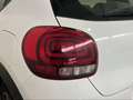 Citroen C3 PureTech 83 S&S Shine Bianco - thumbnail 33