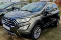 Ford EcoSport Titanium X Automatik Navi Kamera App !! Grau - thumbnail 1