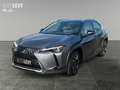 Lexus UX 250h Luxury Line *LEDER*CARPLAY*STZ-BELÜFT* Gri - thumbnail 2