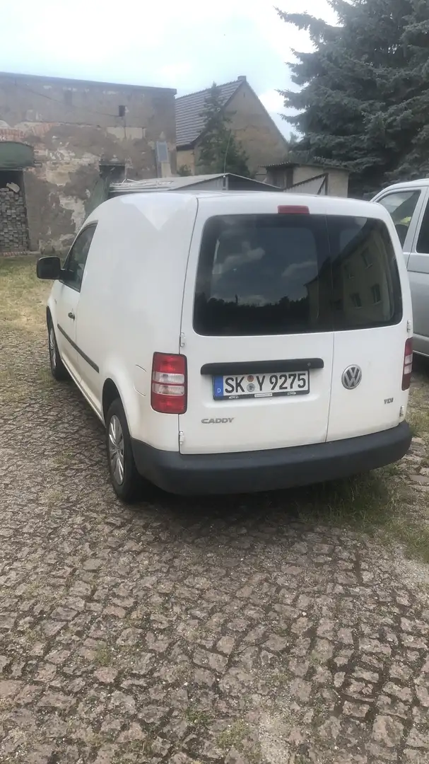 Volkswagen Caddy Kasten Weiß - 2