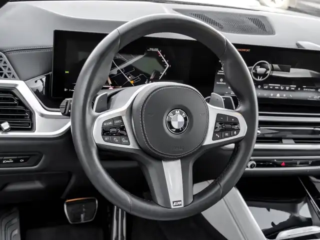 BMW X6 view 9