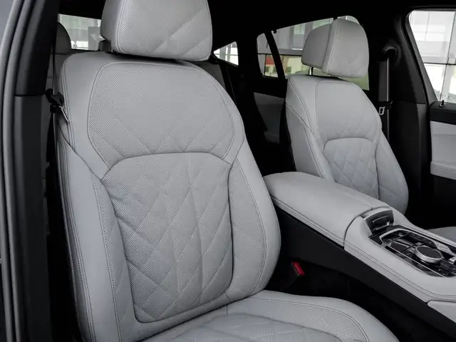BMW X6 view 5