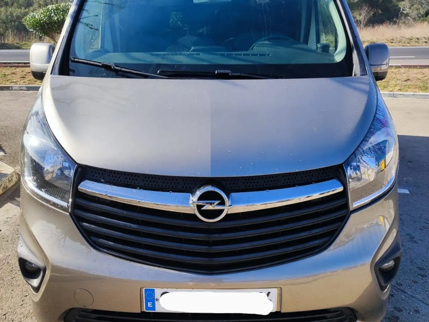 Opel Vivaro DCb. 1.6CDTi 29 L27H1 Expression 120 Bronzová - 2