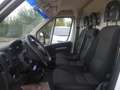 Fiat Ducato furgone medio alto Blanc - thumbnail 12