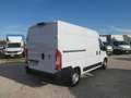 Fiat Ducato furgone medio alto Blanc - thumbnail 3
