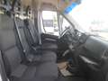 Fiat Ducato furgone medio alto Blanc - thumbnail 11