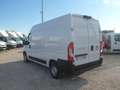 Fiat Ducato furgone medio alto Blanc - thumbnail 4