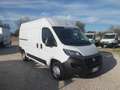 Fiat Ducato furgone medio alto Blanc - thumbnail 2