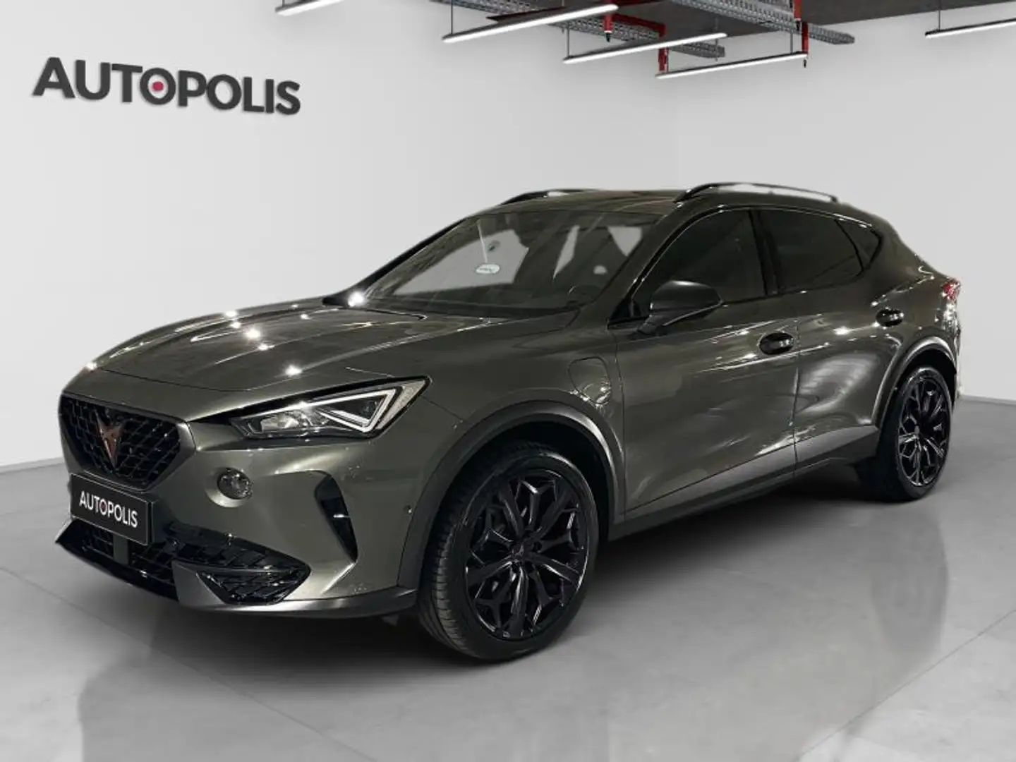 CUPRA Formentor 1.4 Formentor Tribe Edition 245 PS Gris - 1