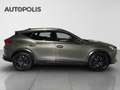 CUPRA Formentor 1.4 Formentor Tribe Edition 245 PS Gris - thumbnail 10